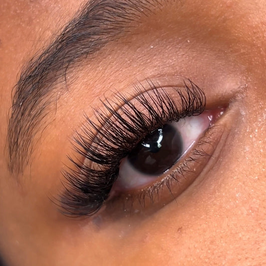 NEW | Synthetic Classic Single Trays - iLuxe Lash 